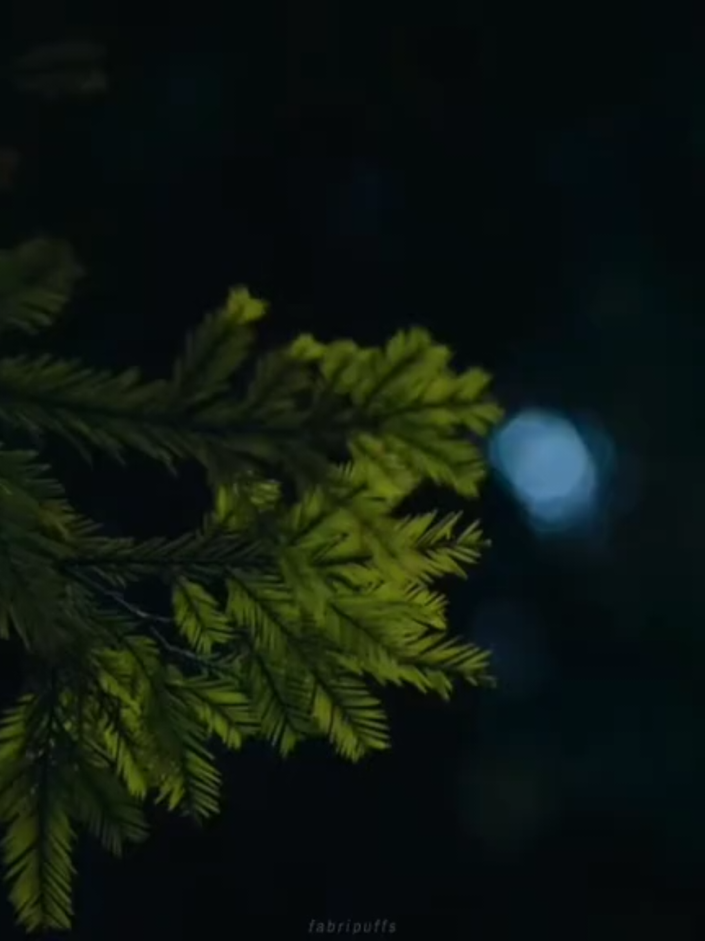 cuando comencé a conocerla igual empecé a escuchar esta canción y cuando suena automáticamente pienso en ella no puedo explicar lo que esta canción me hace sentir al escucharla, son varios sentimientos por mi novia que la amo mucho y puedo decir que esta es su canción 💗 @yung kai  #foryouu #fyp #yungkai #doyouthinkyoucouldloveme #Love 