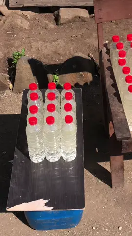 #berjemur pagi dulu 😄#mokeMaster🎱#anakcbng_Detusoko🔥