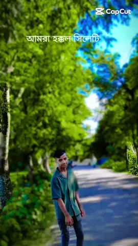 আমরা হক্কল সিলোটি @creator search insights @TikTok Bangladesh 
