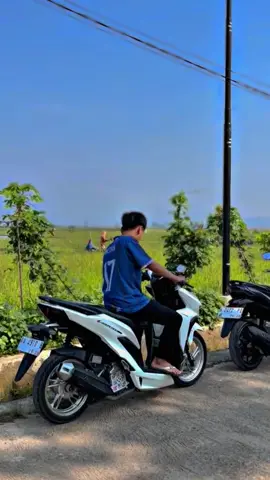 #varioputih #vario150 #ngabres 