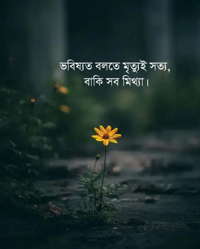 #viraltiktokvideoforyoupaganepal_viral_vi🌼💝 #pfypシviral🖤tiktok☆♡capcut✨️  #farhan_102 #sad #tiktok #lyricsvideo  #foryoupage #soyfulla_kandi_homna #bdtiktokofficial🇧🇩#ওমান_প্রবাসী #ওমান 