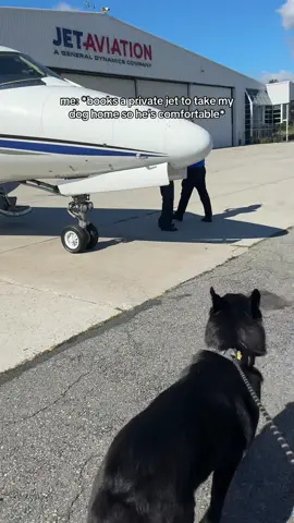 Anything for him, I refuse to put him under the plane 😭😩😂 he was perfect 