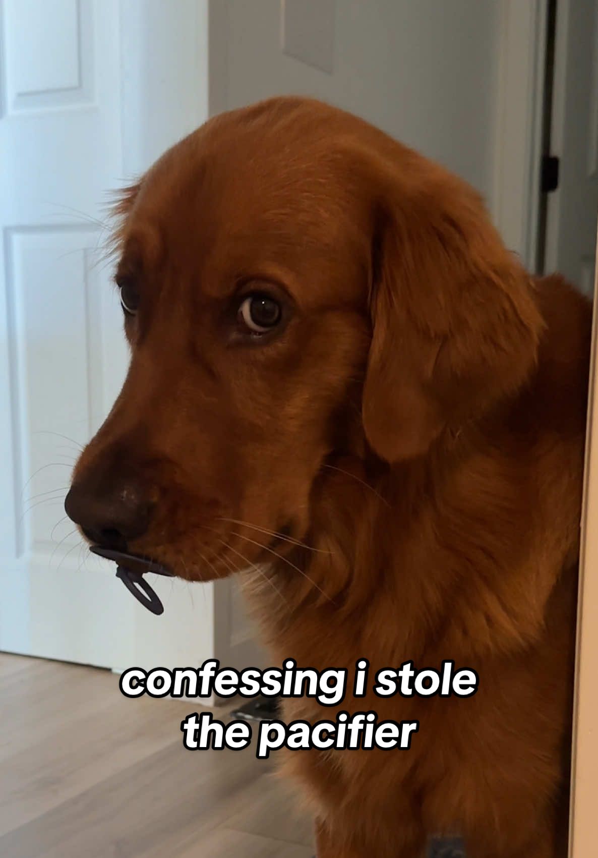 He said his baby brother isn't the only baby in this house  