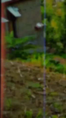 #foryou #lines #pushtopoetry #viral #pushto 