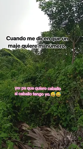 #videoviral #tiktok #😅😅🐎🐎🤠🤠😎 