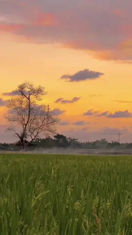 #sunset #senja #lukisanalam🌿 #bireuen #gandapurabireuen 