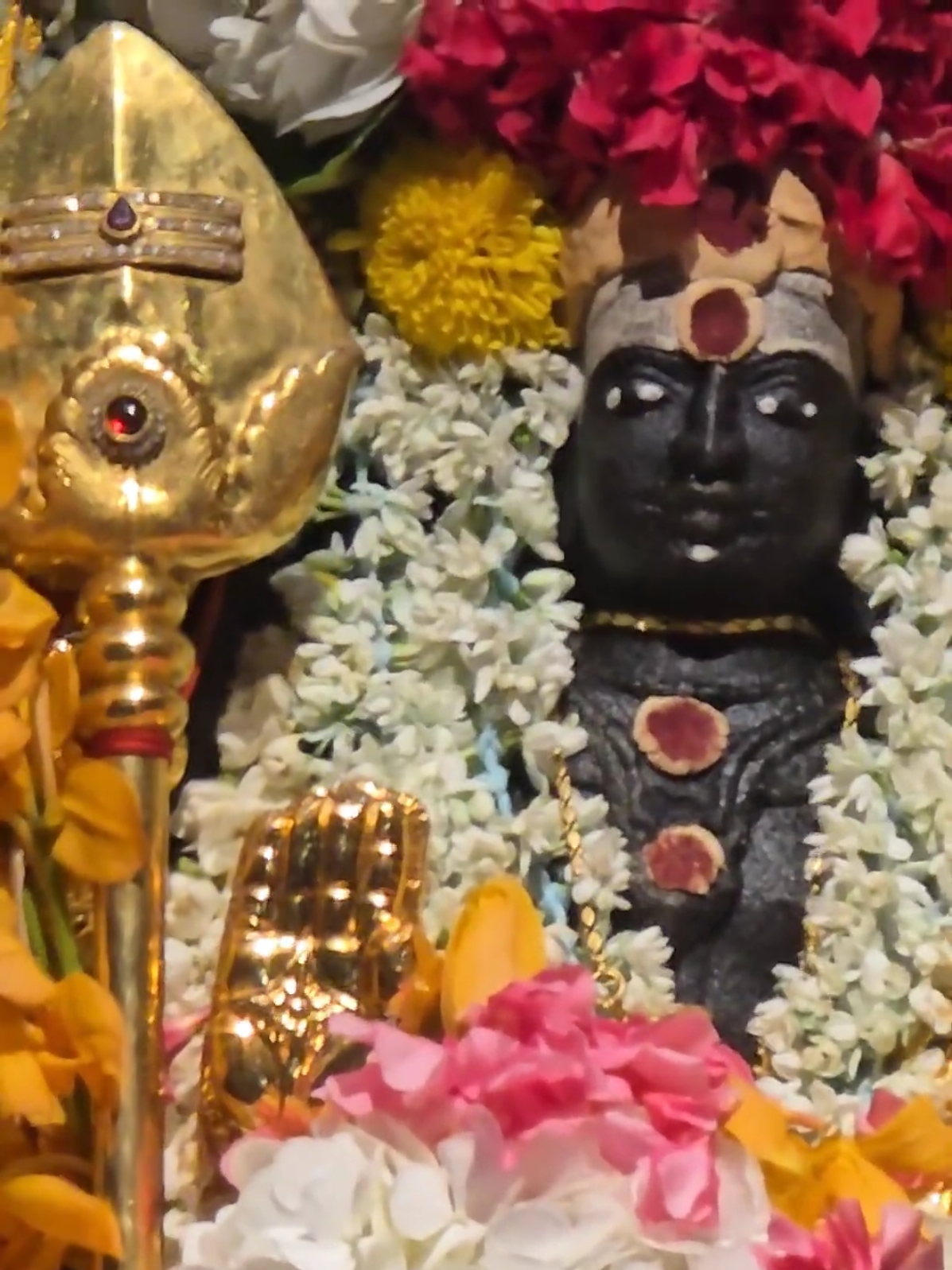 எல்லாப் பிணியும் என்தனைக் கண்டால்நில்லாதோட நீயெனக்கு அருள்வாய்ஈரேழுலகமும் எனக்குறவாகஆணும் பெண்ணும் | Sri Veeramakaliamman Temple Singapore #singapore #sriveeramakaliammantemple 