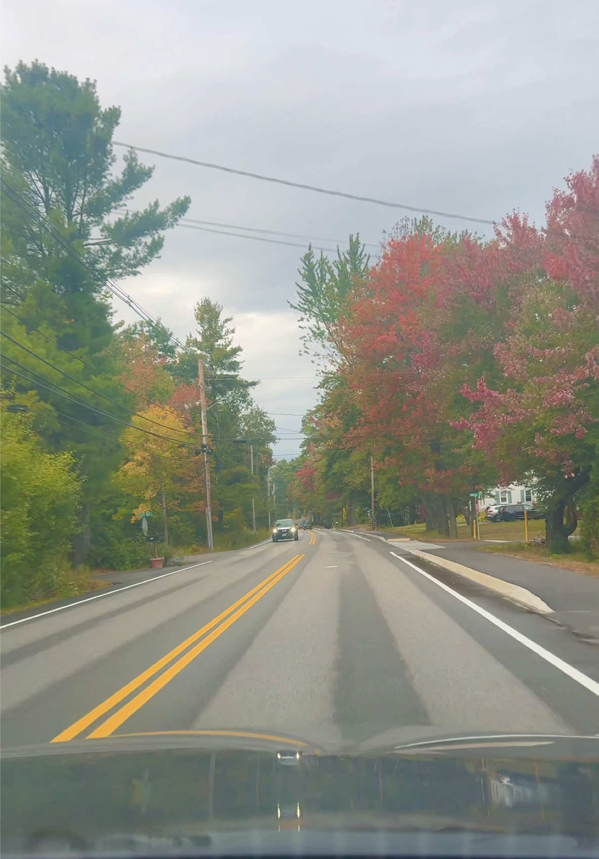 Autumn 🍁🍂 #videoshort 