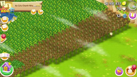 Đang làm NV lỡ bấm có 3 cây hông biết có sau không #hayday #haydaytiktok #help 