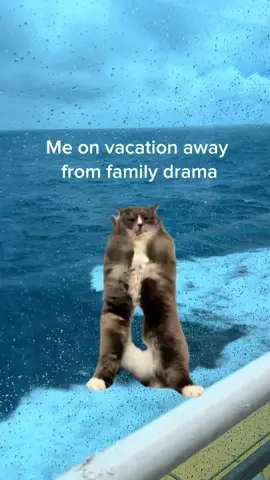 “POV: Me on this cruise, letting the waves wash away all the family drama 🌊😅 Just me, the vibes, and this dancing cat living its best life. Sometimes you gotta sail away to save your peace #CarnivalCruiseVibes #CruiseLife #DramaFreeVacation #LanguageLearning  #CapCut 