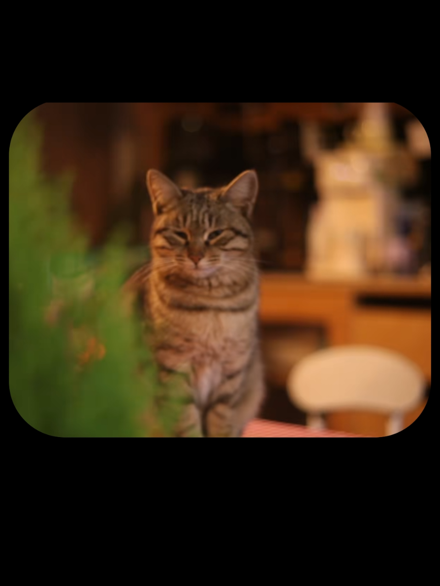 Vì sao khi sinh ra ta phải khóc | Podcast chữa lành tâm hồn Hành trình về với nắng Có một đoạn mà mình từng đọc được, đến bây giờ vẫn thấy day dứt trong lòng: 