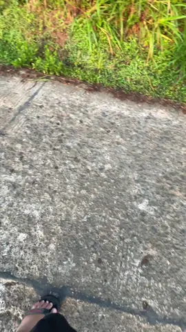 ☀️🍚 #pemandanganalam #sunrise #gunungslamet #cilacap24jam 