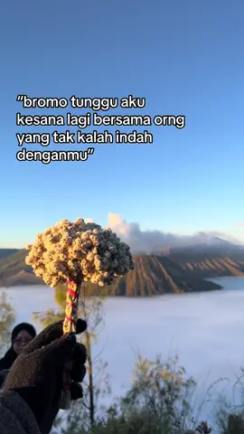 Petualangan yang tak terlupakan di ketinggian.