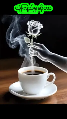 #creatorpilotprogram #creatorsearchinsights #ခံစားချက်ချင်းတူရင်cmရေးခဲ့😇 #feelings #foryou 