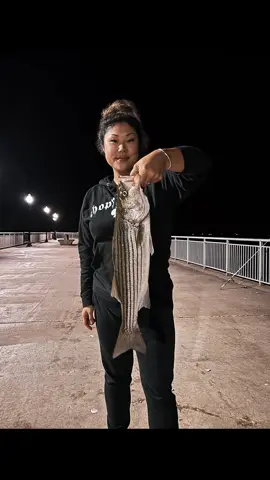 Breaking in the mackerel LC minnow, striper approved ✅ • • • #fishing #girlswhofish #saltwaterfishing #stripedbass #fishtok 