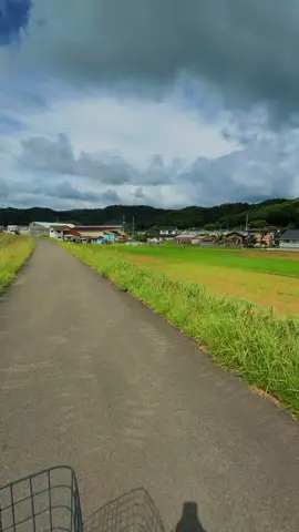 まだ寝てるんですか。。　#日本 #hiroshima #おすすめ #fyp 