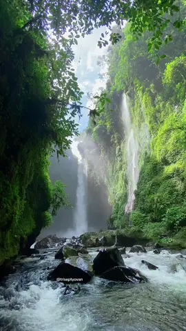 yok gas bagi yg belum  yg mau berkunjung DM aja ya... #airterjunsumbar #explore #waterfall #pesonaindonesia ##fyppppppppppppppppppppppp 