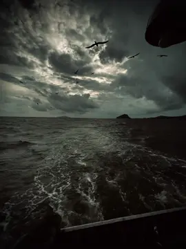 如果今天失败了，明天我们会再试一次。输在游戏上，比输在人生上好. 