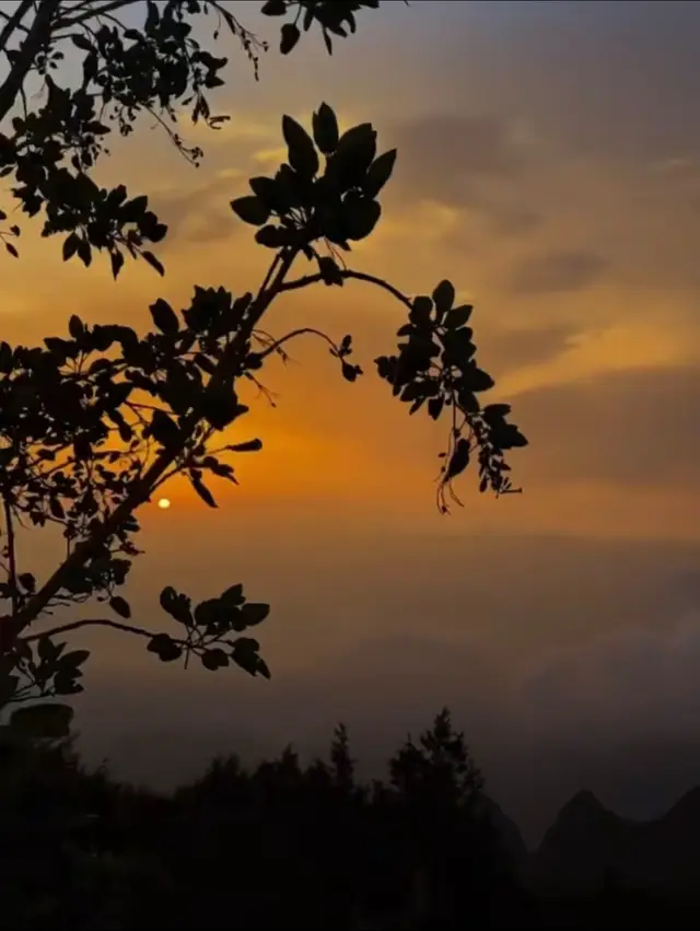 #راحه_نفسيه 