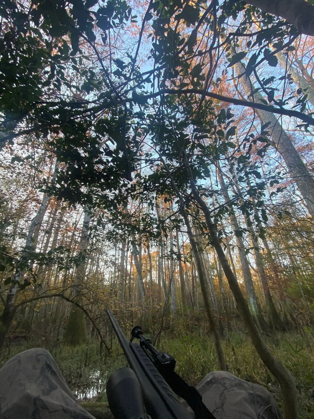 I love the swamp #fyp #Outdoors #louisiana #fypシ 