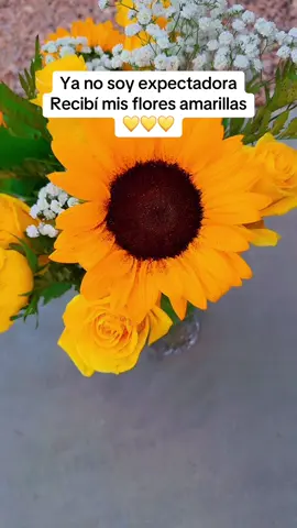 Mis flores amarillas 💛🌻🌼 #floresamarillas #flores #21deseptiembrefloresamarillas #fyp 