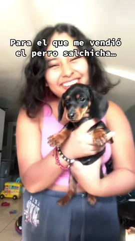 Ijuelule😅 #dachshund #weinerdog #doberman #fyp #fouryoupage 