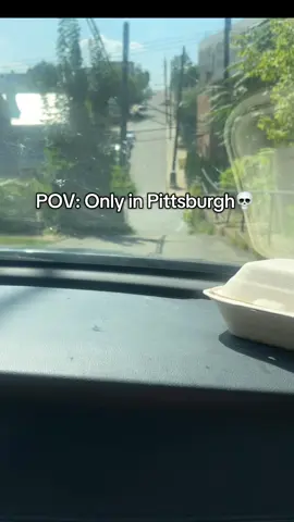 🫠 Me: just visiting. Pittsburgh: hope your brakes are strong 🛑 #fyp #pittsburgh412 #slopes #kalietran 