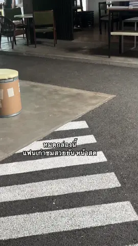 #โพรไบโอติกสําหรับผู้หญิง 