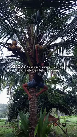 #ngakdiajakbeliterlurgulung😂 #fyp #4u #foryou #lewatberandafyp 