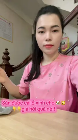 Xinh quá luôn 😍 😍 #đệm #đệm Cho Thú Cung #mèo #thucung 