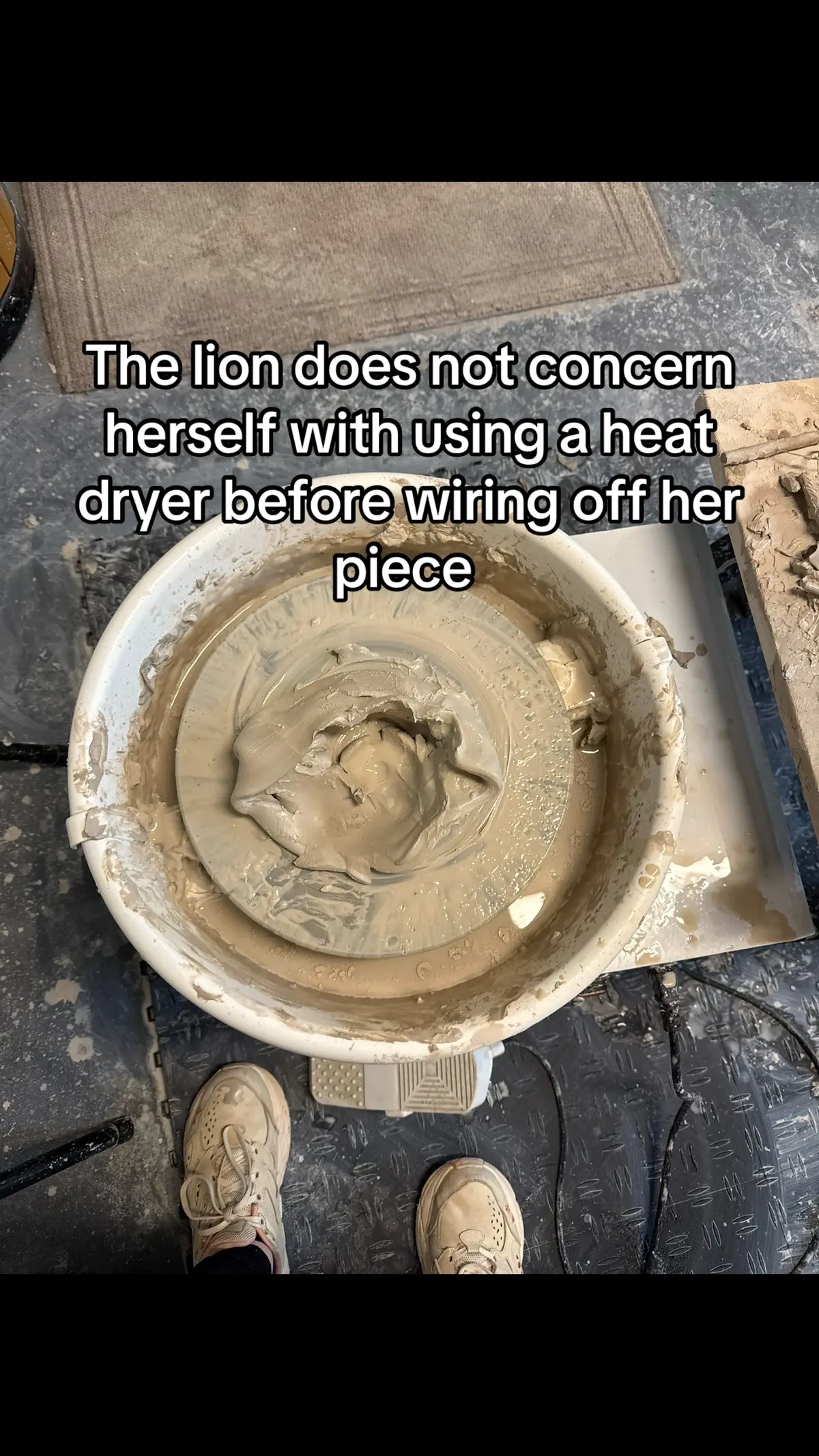 The Lion’s bowl has transformed into a wide plate