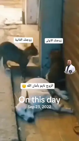 #onthisday 