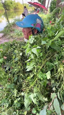 Ẩn thân chi thuật, cụ móm quá lâu rồi mấy con thuỷ quái này