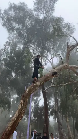 #مرجيحه #ابها 