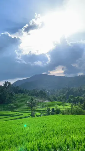Endaaaahh nyoooo #fyppppppppppppppppppppppp #teraseringcisalada #warungbuyati #pesonaindonesia #bogorhits #bogorviral 
