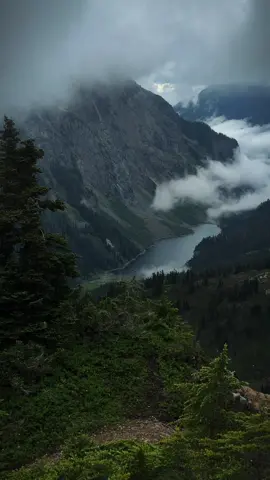 on top of the world  #darkaesthetic #darknaturalism #fog #rainyday #gloomy 
