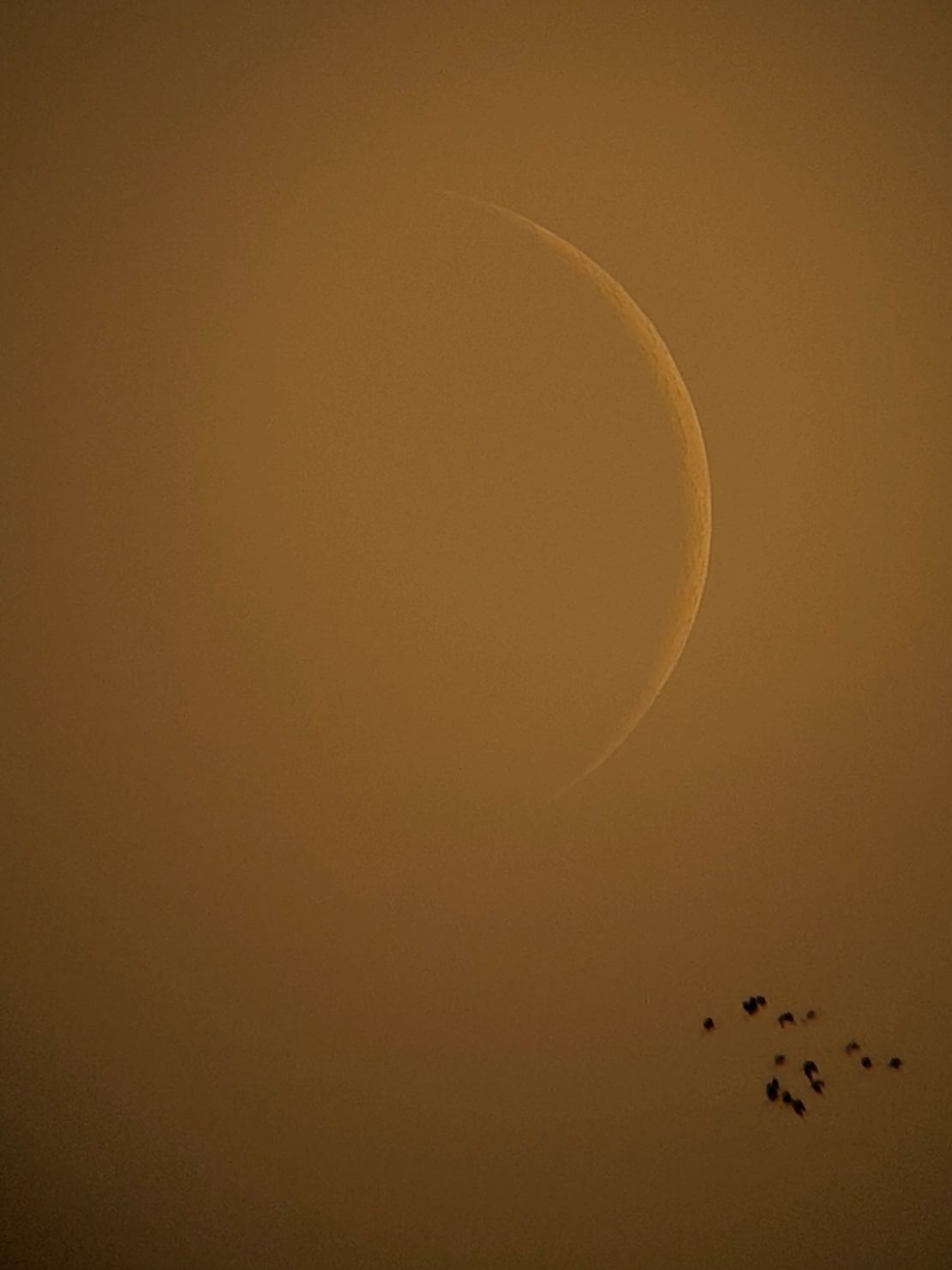 Luna creciente con un 4 % de iluminación, visible poco después del atardecer. Se presenta como una delgada hoz luminosa en el horizonte occidental. . . . . . . . . . . . . . . . . . . ..... . . . . . . . . . . . . . . . . . . . ... . . #luna  #lunacreciente  #moon #celestron  #crescentmoon 