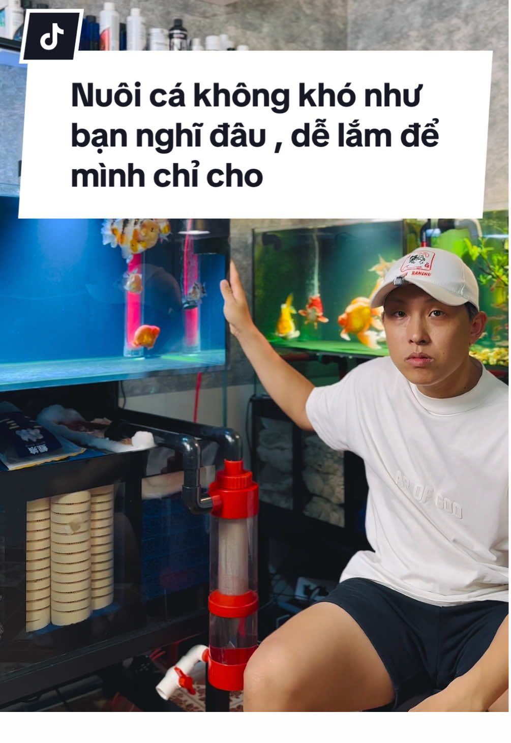 Nuôi cá khônh khó đâu#tuancariview 