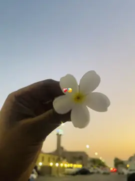 ❤️‍🩹😓#foryoupage #foryo #foryou #viral #fypシ゚viral 