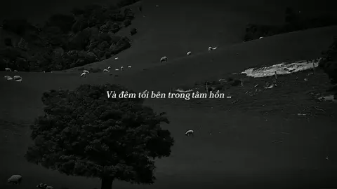 ai mang cô đơn đi ....!#tamtrang #nhactamtrang #nhacbuon @thangw1