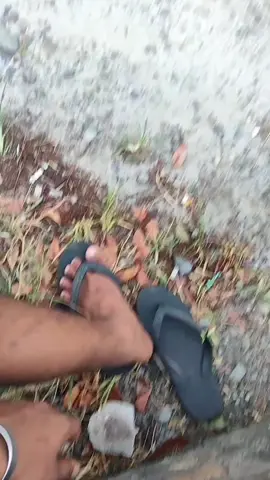 SELESAI BEGITU SAJA🙂