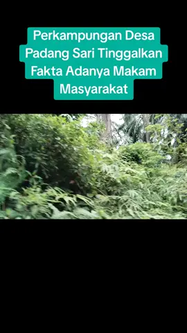 Makam Warga Bukti Adanya Perkampungan Desa Padang Sari #fyppppppppppppppppppppppp #viralvideo #fypシ゚ #fyp 