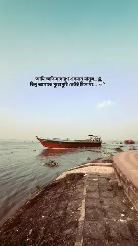 আমি অতি সাধারণ একজন মানুষ…🥷 কিন্তু আমাকে পুরোপুরি কেউই চিনে না... ☠️🔪#foryoupage #vairal_video #fypシ゚ #foruyou #1mviews 