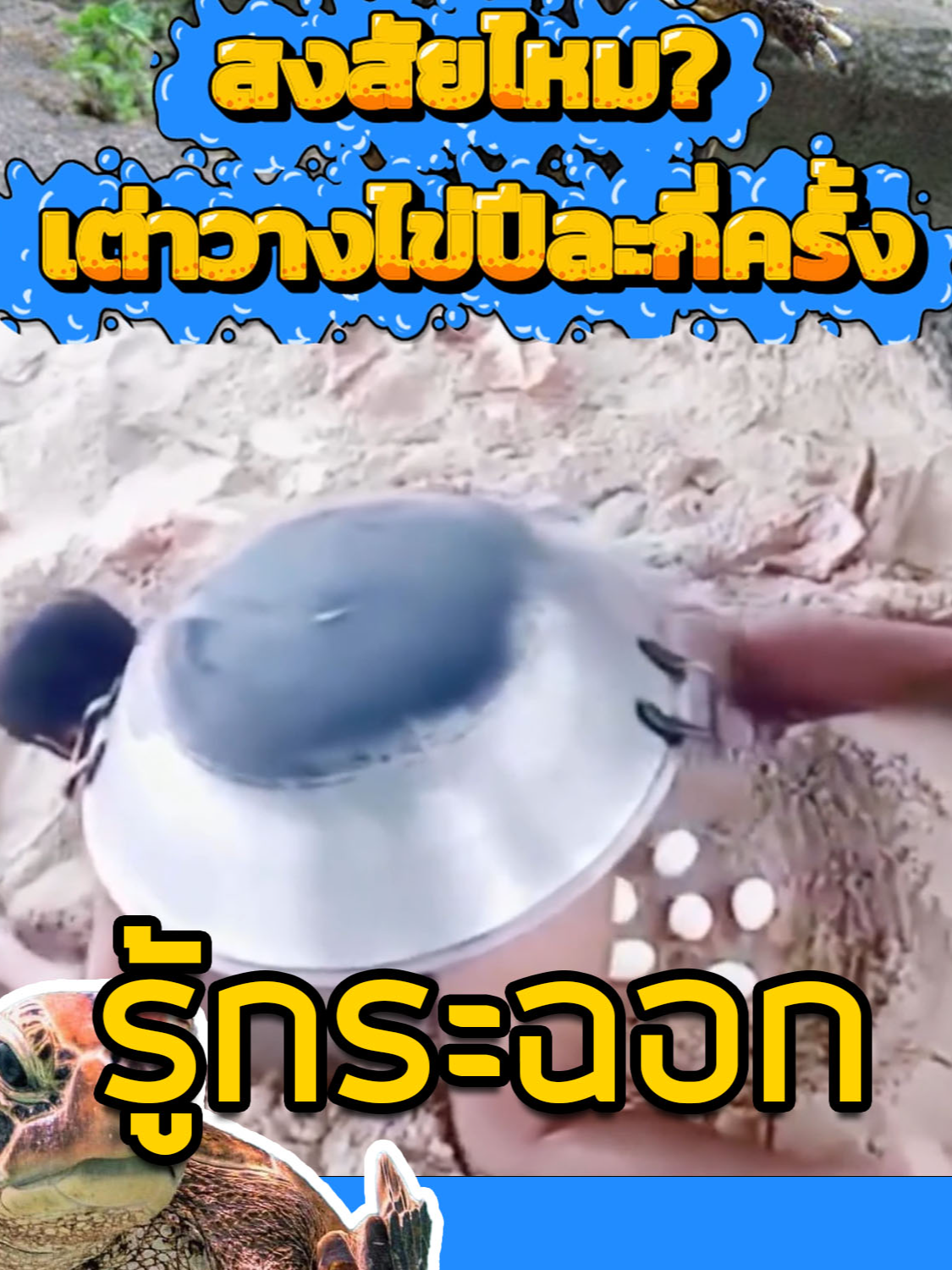 เคยสงสัยไหมว่าเต่าวางไข่ปีละกี่ครั้ง? #เต่างอย #มีม #มีมตลก #มีมฮาๆ #meme #ตลก #สัตว์น่ารัก #เต่าทะเล #รู้หรือไม่ #tiktokuni #มีมไทย