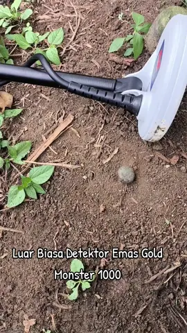 #metaldetektor #metaldetecting #metaldetector #goldmonster1000 #minelab