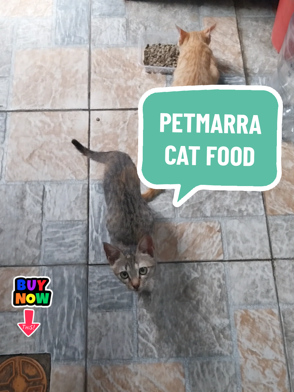 Must have talaga ng furbaby mo  try PetMarra Cat Food 🐈  #catfood #petmarracatfood #furparents #catlover #viralproducts 