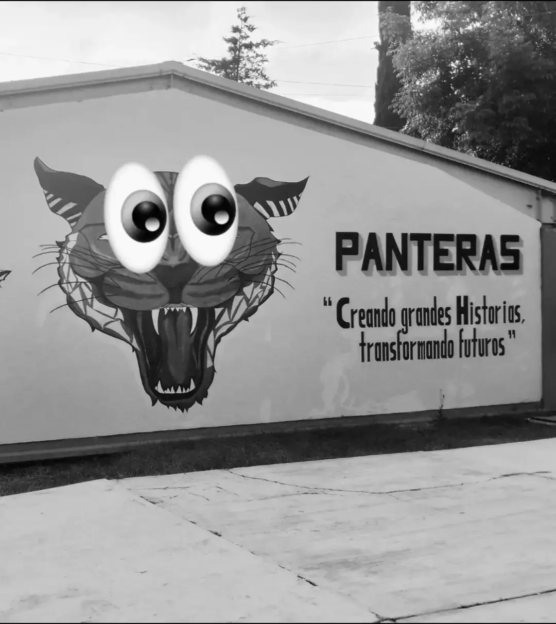 #voi #pantera #elpantera #👀 