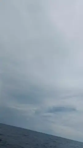 KM GiBRAN JAYA.  gacor selalu bos ku