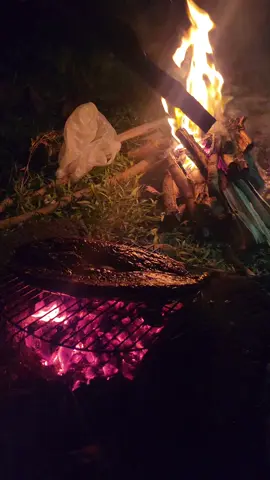 Bakar Ikan pinggir Pantaiii sambil ngumpul bareng tementemen.. serunyaaaa 🥳💞 #pantaimadasari #campingpinggirpantai #camping #pantai #madasaribeach 
