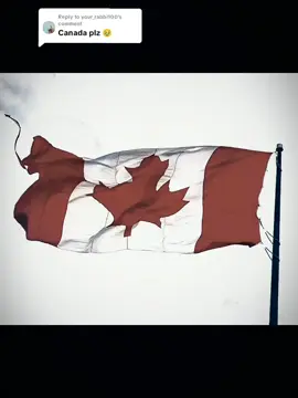 Replying to @your_rabbi100 #vairal #tiktok #foryou #trending #trend 